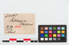 Etikett zu Bronzekahnfibel (NHMW-PRAE-024005)